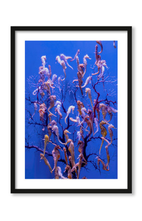 Plakat Drzewo koników morskich