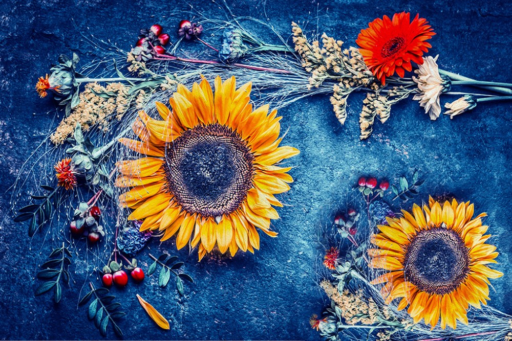 Słoneczniki i polne kwiaty na niebieskim tle retro 