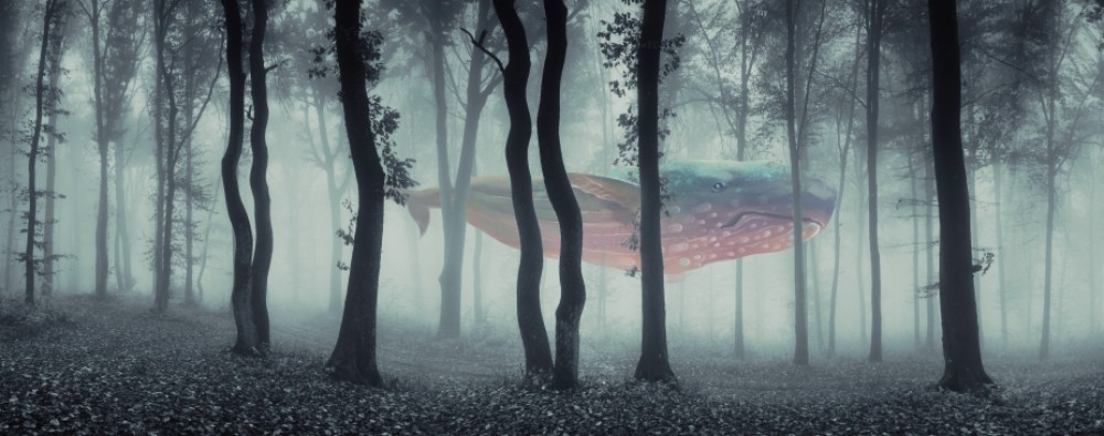  Fototapeta Leśny wieloryb