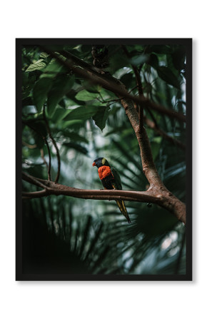  Plakat Papuga w egzotycznym lesie