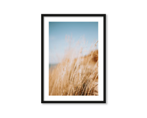  Plakat Pole pszenicy