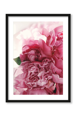  Plakat Różane róże
