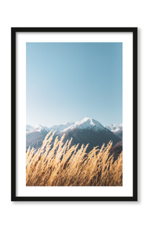  Plakat Trawa w Alpach