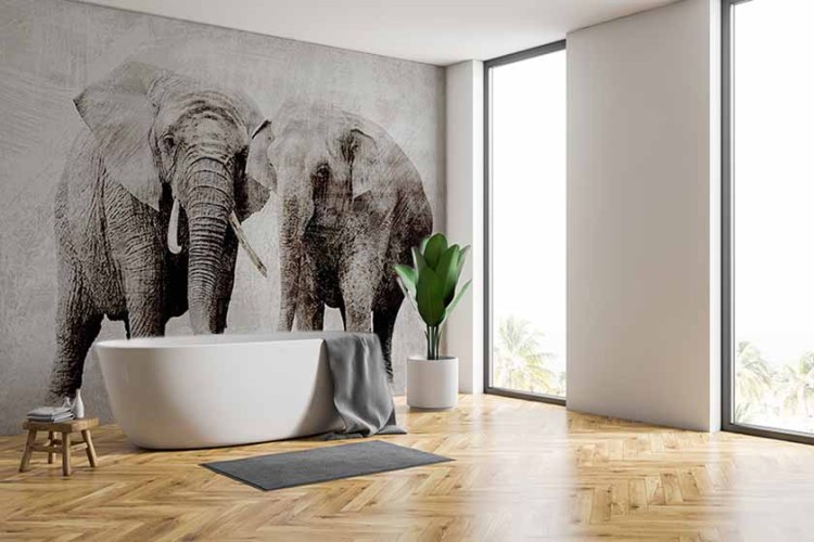 Fototapeta Afryka Słonie 