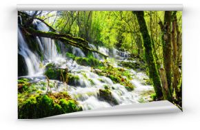 Niesamowity wodospad z krystalicznie czystą wodą wśród zielonych lasów do pokoju
