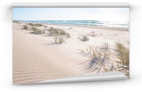 Słoneczna złota plaża wydmy w Polsce 