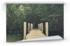 Długi drewno most w namorzynowym lesie, Chanthaburi, Tajlandia