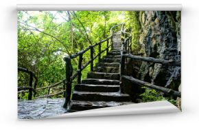 Niesamowite kamienne schody, ogrodzenie, drzewo