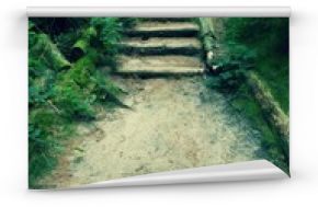 Stare drewniane schody w zarośniętym lesie ogród, ścieżka turystyczna. Schody ze ściętych bukowych pni, świeże zielone gałęzie nad ścieżką