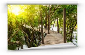 Drewniany most w zalanej dżungli lasów tropikalnych drzew namorzynowych