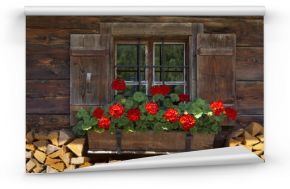 Fototapeta Okno alpejskiej drewnianej chaty z pelargoniami do domu