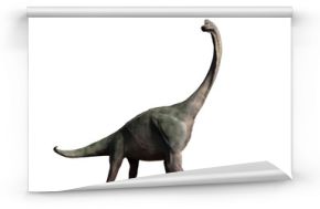 Brachiosaurus altithorax z późnej jury na białym tle (ilustracja 3d)