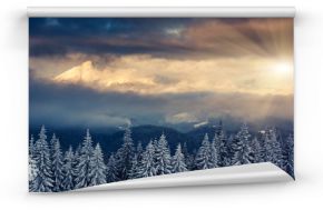 Fototapeta Zimowy las w górach z widokiem