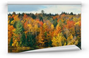  Jesienny las nad jeziorem ścienna XXL