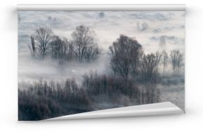 Winter landscape, the misty forest at morning