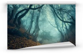 Wędruj przez tajemniczy ciemny stary las we mgle. Jesień