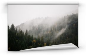 Las z mgłą nad górami