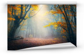 Las bajki we mgle. Jesienne lasy. Zaczarowany jesień las we mgle rano. Stare drzewo Krajobraz z drzewami, kolorowymi pomarańczowymi i czerwonymi liśćmi oraz niebieską mgłą. Charakter tła. Ciemny mglisty las