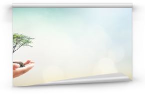 World environment day concept: Human hands holding big tree over green forest background