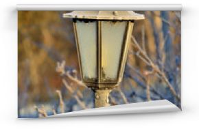 Old street lamp with frost