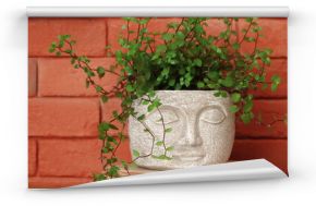 Styl Boho. Kwiat Callisia w doniczce głowa na tle czerwonych cegieł.  Callisia flower in a pot against a background of red bricks.