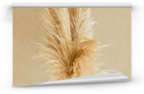 Dry pampas grass reeds agains on beige background. Minimal, stylish, trend concept. Copy space. Trend color 