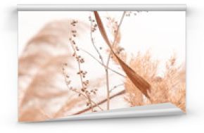 Pampas grass outdoor in light pastel colors. Dry reeds boho style.  