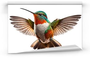 hummingbird, png stock photo file cut out and isolated on a transparent background - Generative AI