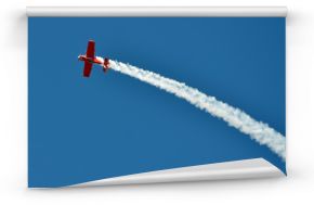 The plane on the blue sky during air show
