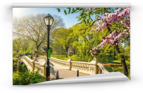 Bow bridge in Central park at spring sunny day, New York City