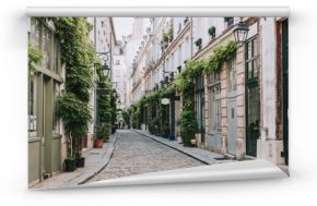 Przytulna ulica w Paryżu, Francja