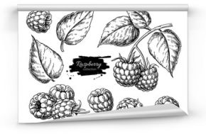 Raspberry vector drawing. Isolated berry branch sketch on white 