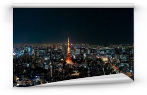 Piękny punktu widzenia Tokio wierza w Tokyo mieście, Japan.