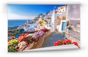 Scenic view of traditional cycladic houses on small street with flowers in foreground, Oia village, Santorini, Greece. Sunset view point. Holidays background.