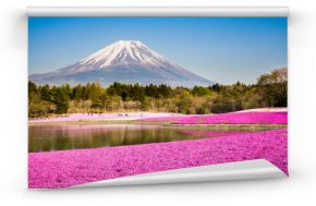 moss phlox with mount fuji in background