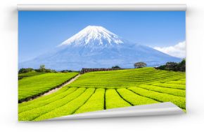 Mount Fuji i pola herbaty w Japonii