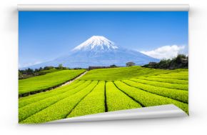 Góra Fuji mit Teefeldern w Shizuoka, Japonia