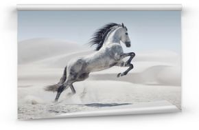 Zdjęcie przedstawiające galopującego białego konia