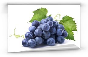 Błękitów winogron mokra wiązka odizolowywająca na białym tle