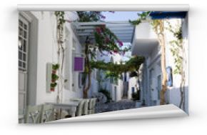 Fototapeta Ulica na wyspie Paros, Cyklady, Grecja wysoka