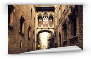 Fototapeta Gotycka ulica z łukiem w Barcelonie w pobliżu katedry do salonu