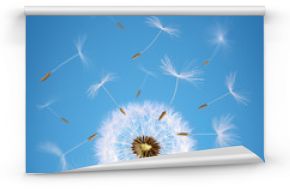 Fototapeta Mniszek lekarski z nasionami odlatującymi z wiatrem na niebieskim tle na ścianę