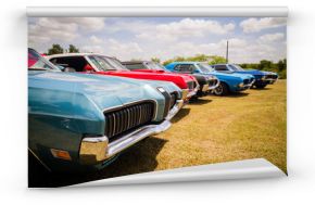 Vintage classic muscle cars parked together in field for sale or club cruise or car show