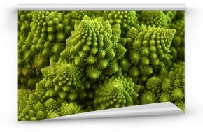 Brokuły Romanesco lub kalafior rzymski, z bliska strzał z góry, szczegół tekstura zdrowego warzywa Brassica oleracea, odmiana kalafiora. zdjęcie makro