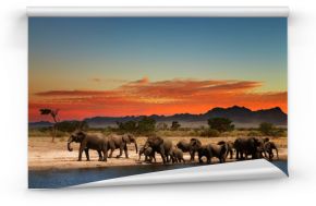 Stado słoni w afrykańskiej sawannie