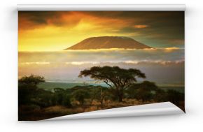 Fototapeta Widok na Górę Kilimandżaro oraz sawannę w Parku Narodowym Amboseli, Kenia XL