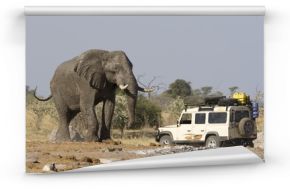 4x4 car near a big African Elephant in Botswana.