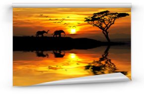 puesta de sol en Africa