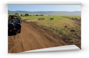 Ngorongoro crater safari