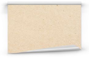 Closeup brown beige sheet of craft cardboard paper texture background.